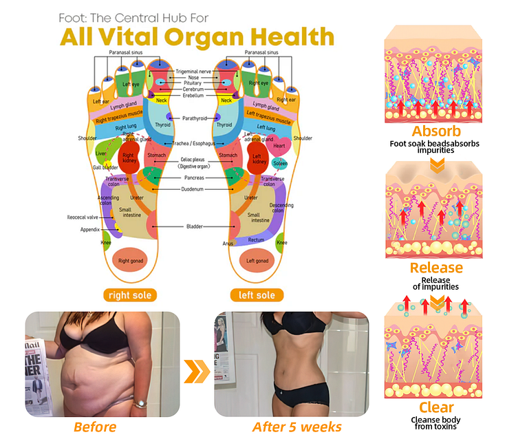 𝐀𝐧𝐧𝐢𝐞𝐂𝐚𝐫𝐞® 𝟑𝟎-𝐇𝐞𝐫𝐛 𝐒𝐥𝐢𝐦𝐦𝐢𝐧𝐠 & 𝐃𝐞𝐭𝐨𝐱 𝐅𝐨𝐨𝐭 𝐁𝐚𝐭𝐡 𝐁𝐞𝐚𝐝𝐬👩‍⚕️