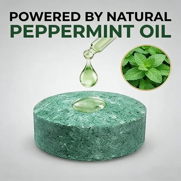 49% OFF Today Only🎉🎉Popular Natural Rodent Repellent Balls! Infused with peppermint and lemon oil